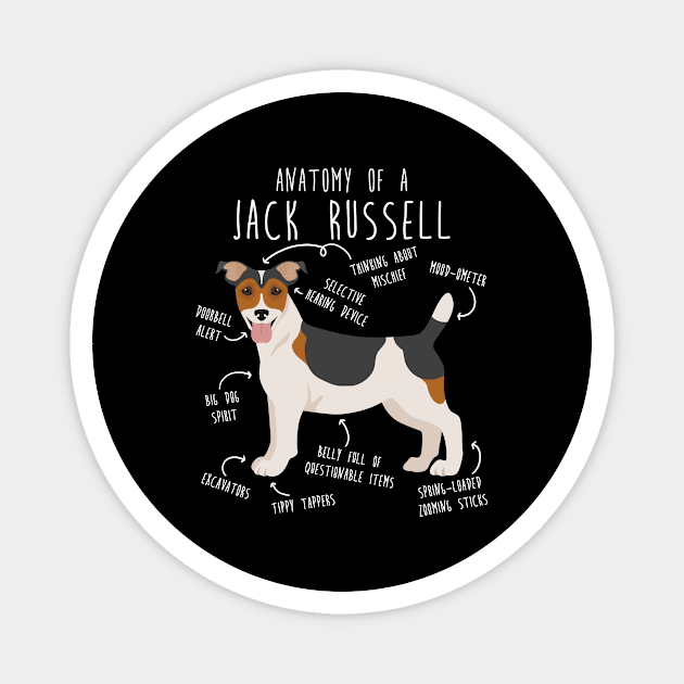 Jack Russell Terrier Dog Anatomy Magnet by Psitta